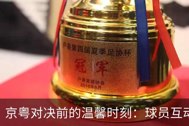京粤对决前的温馨时刻：球员互动热闹非凡